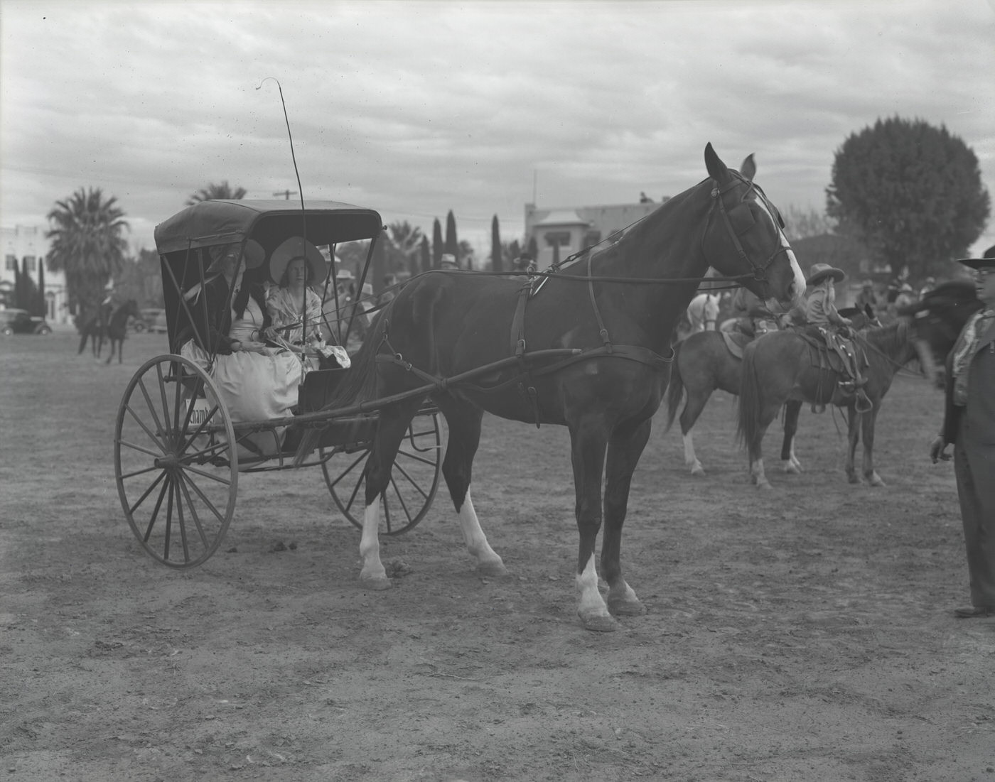 #46 Henry Chambers Horse and Buggy Company Vehicle, 1930s