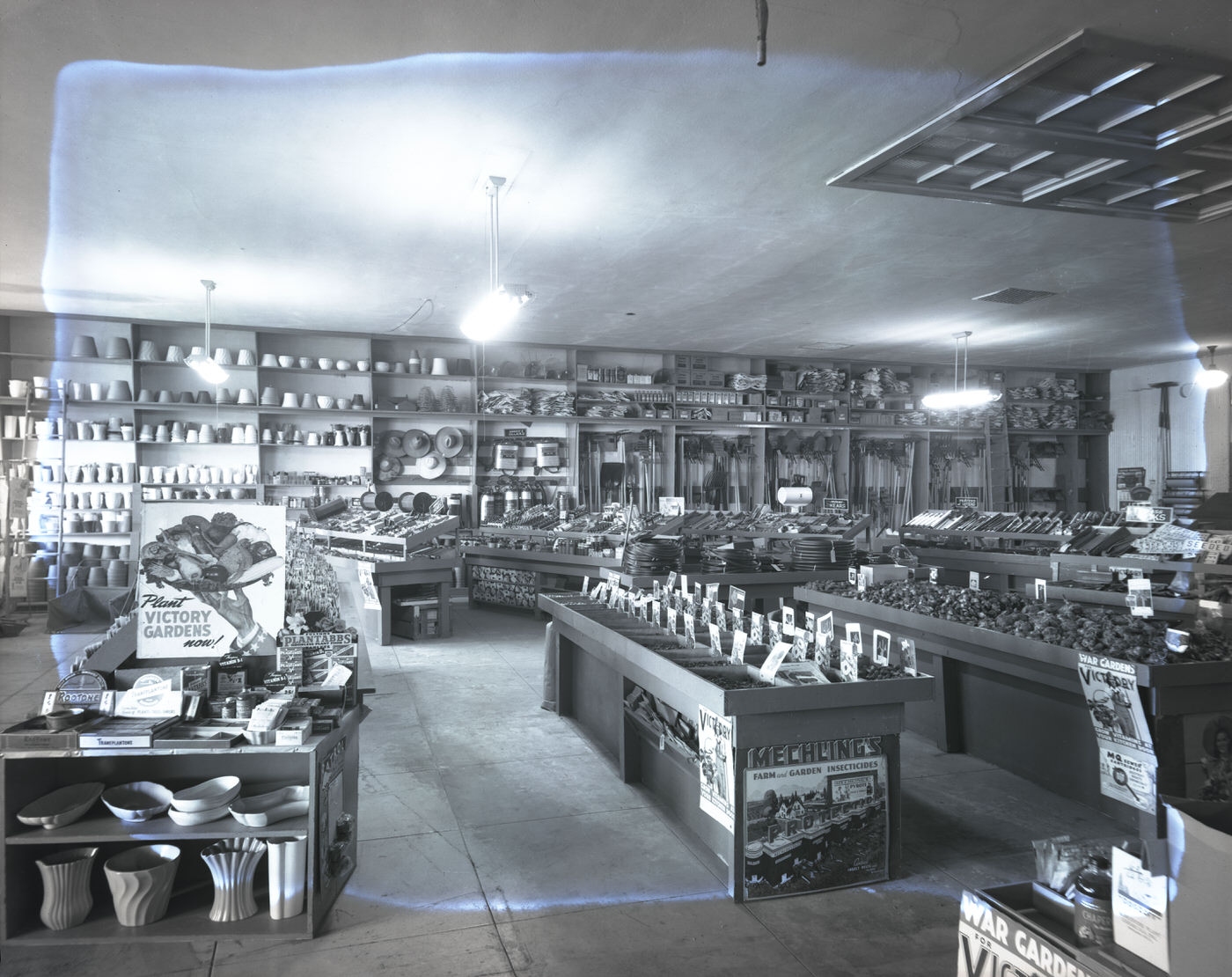 #13 Liefgreen Seed Co. Store Interior, 1943