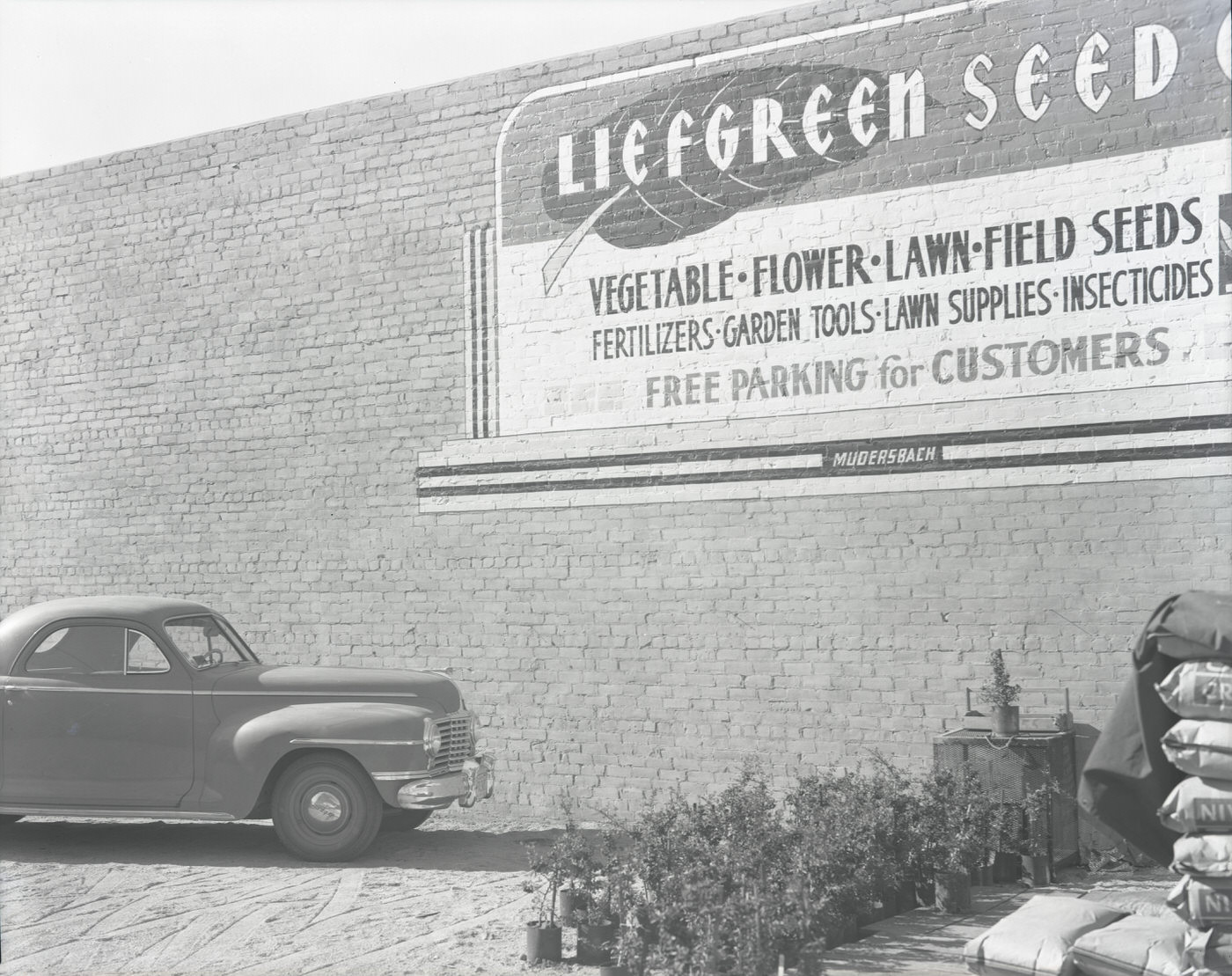 #14 Liefgreen Seed Co. Store Exterior, 1943