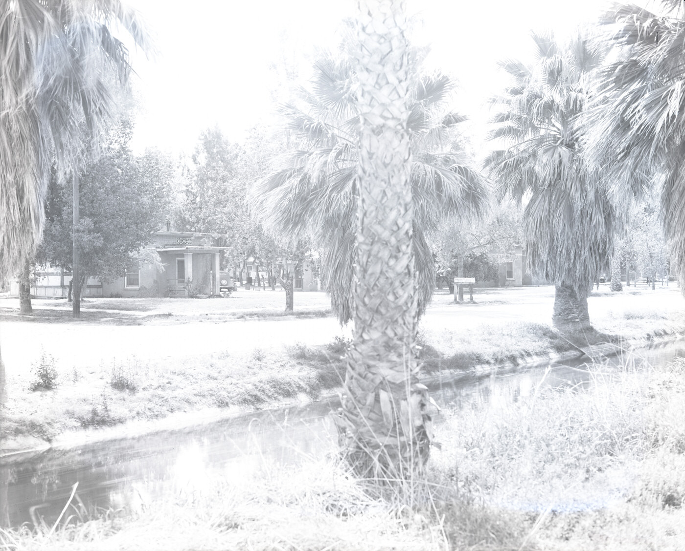 #48 Canal Flowing Past Rural Homes, 1944