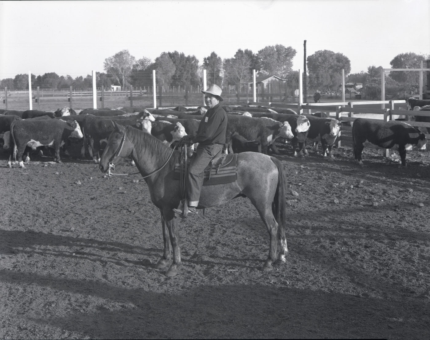 #7 Man on Horse in Cattle Lot, 1944