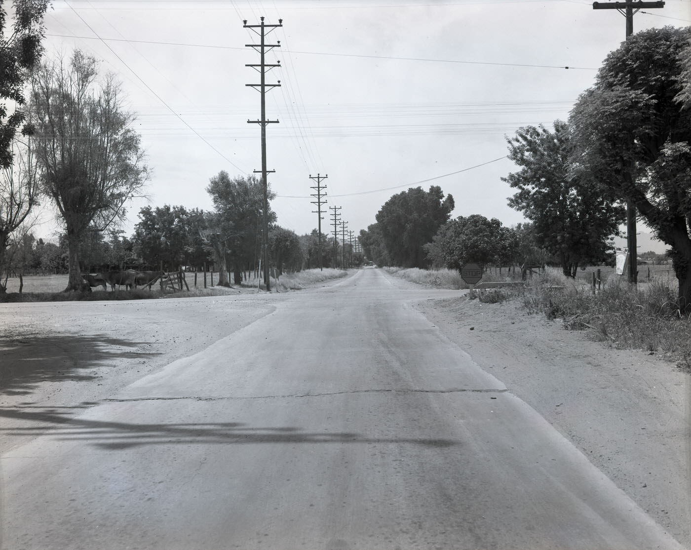 #27 Near Corner of Mission and Route 11, 1945