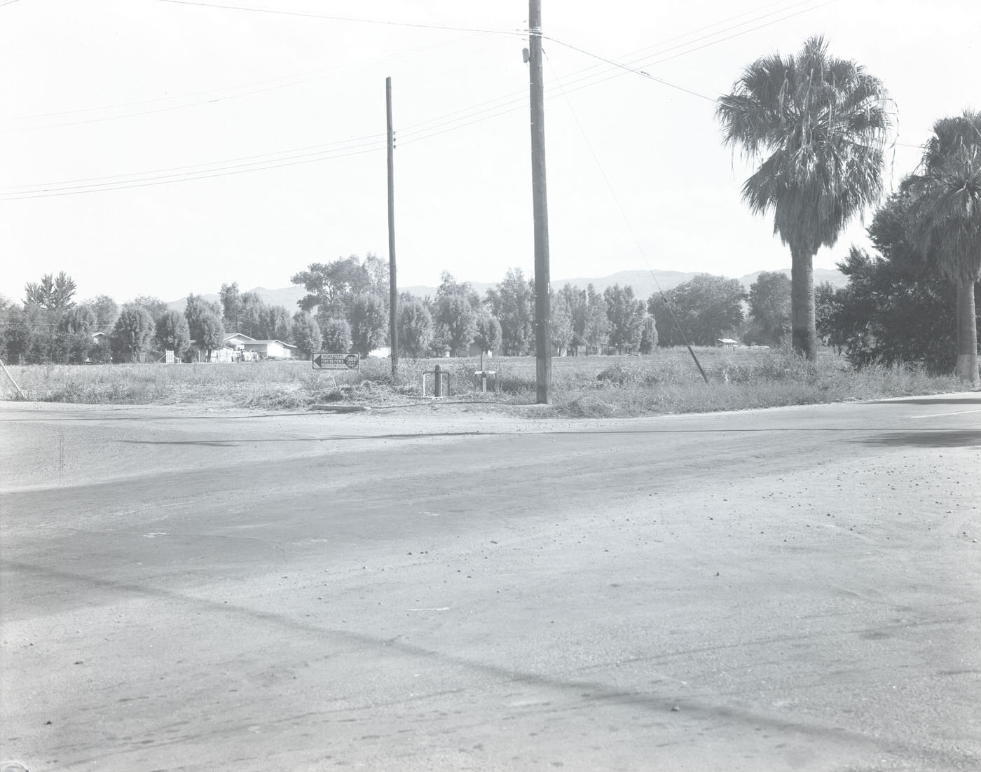 #8 4900 Block of S. Central Avenue, 1945