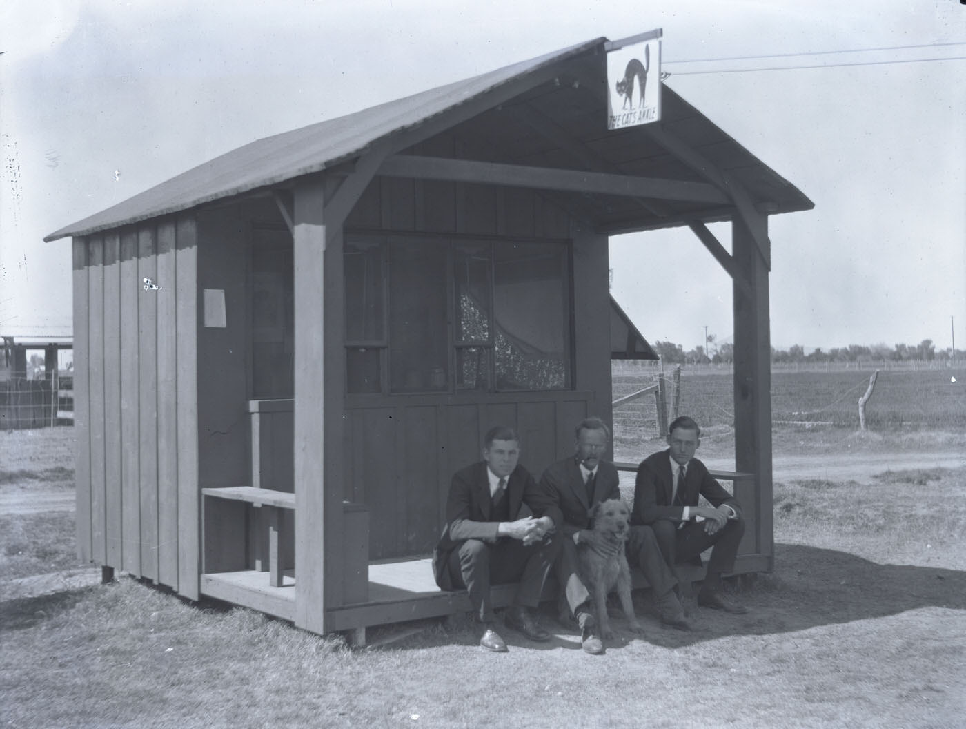 #23 The Cat’s Axxle, 1946