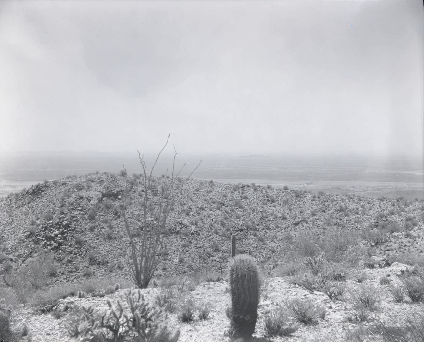 #4 South Mountain, 1946