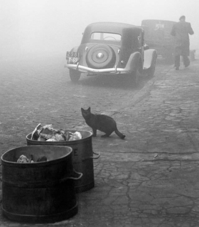 #8 Petit matin brumeux, Lyon, 1950.