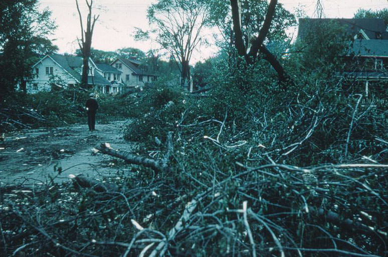 #13 Looking north on College Avenue from George St.