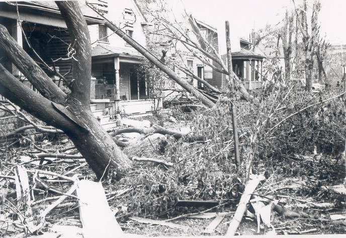 #24 North side of Lochiel St. east of Brock