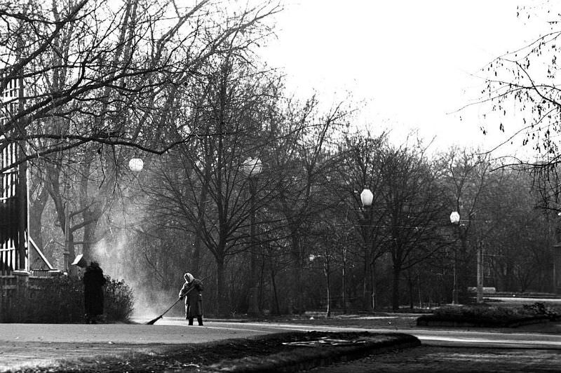 #52 A woman sweeping a broom at a park.