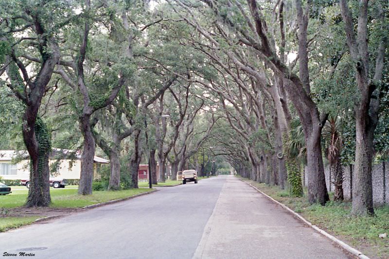 #16 Magnolia Avenue, St. Augustine, 1986