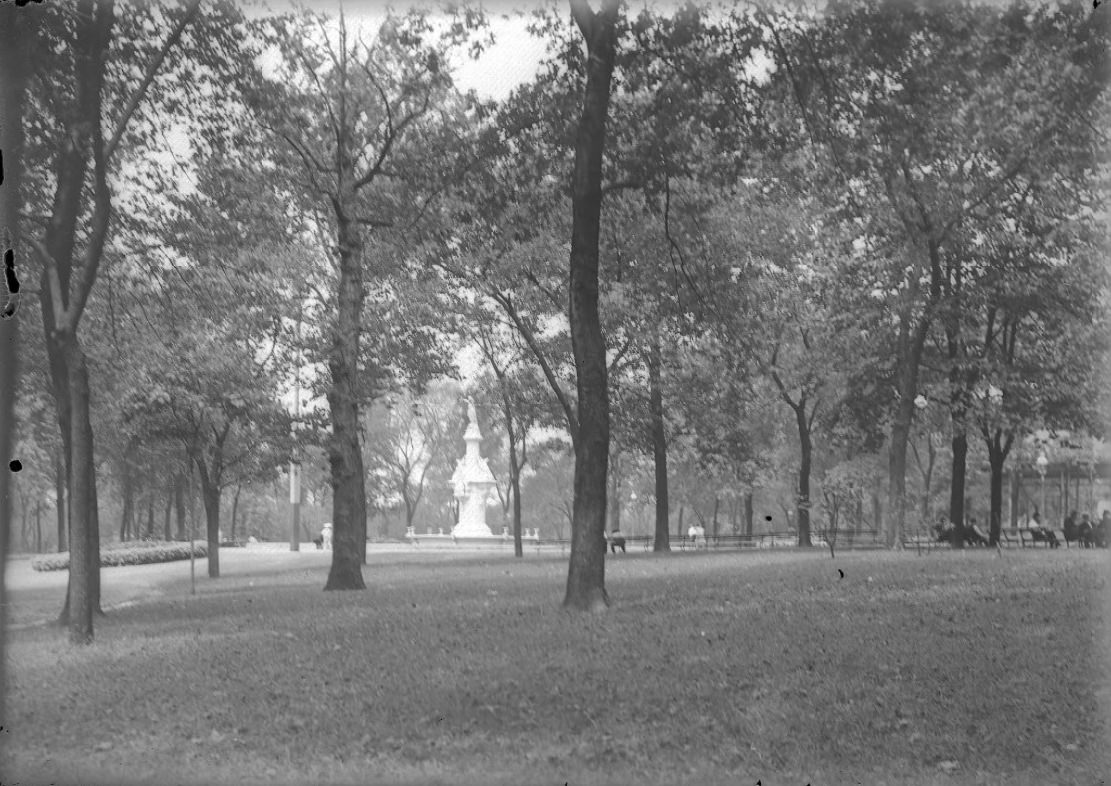 #123 Trees and a Statue in a Park, 1900