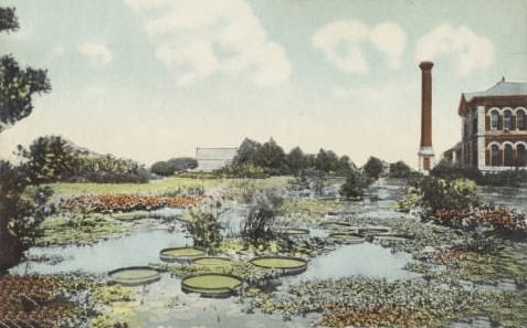 #180 Sunken garden, Chain of Rocks, St. Louis, 1900