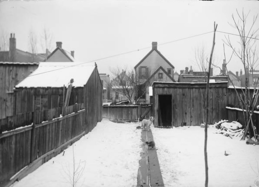 #221 Back views from back porch, 1905