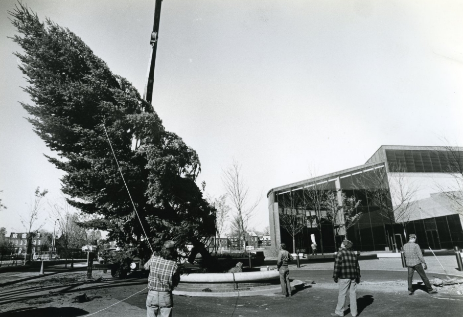 #3 Christmas Tree Erected on the Anheuser-Busch Brewery Ground, 1985