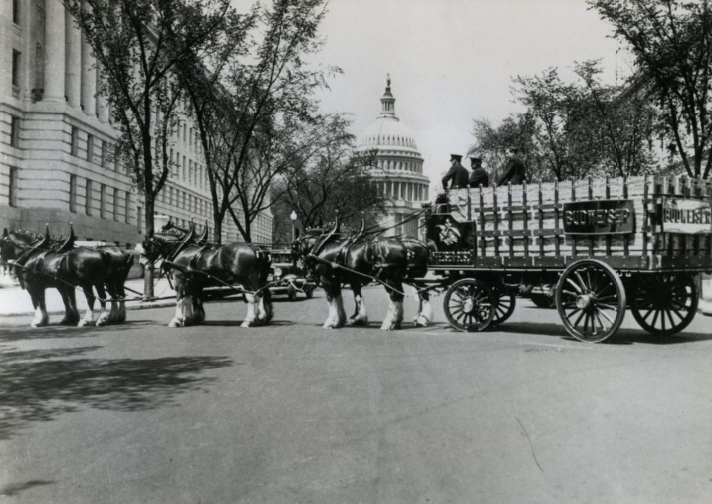 #5 Anheuser Busch-The First Budweiser Clydesdale Hitch, 1983