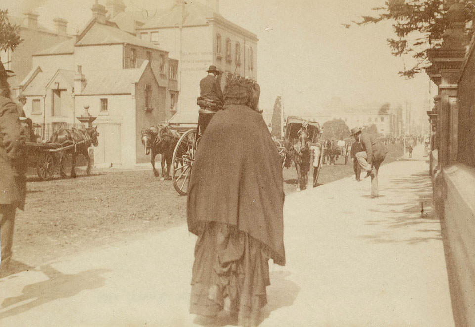 #15 Street scene from Sydney, 1889