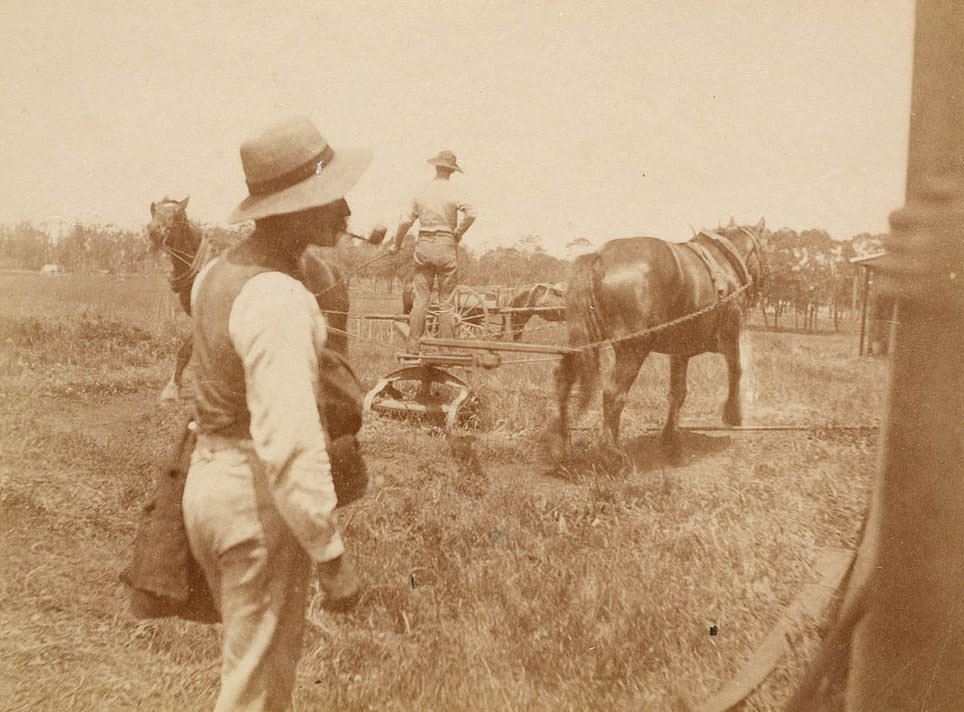 #24 Farm scene from Sydney, 1889