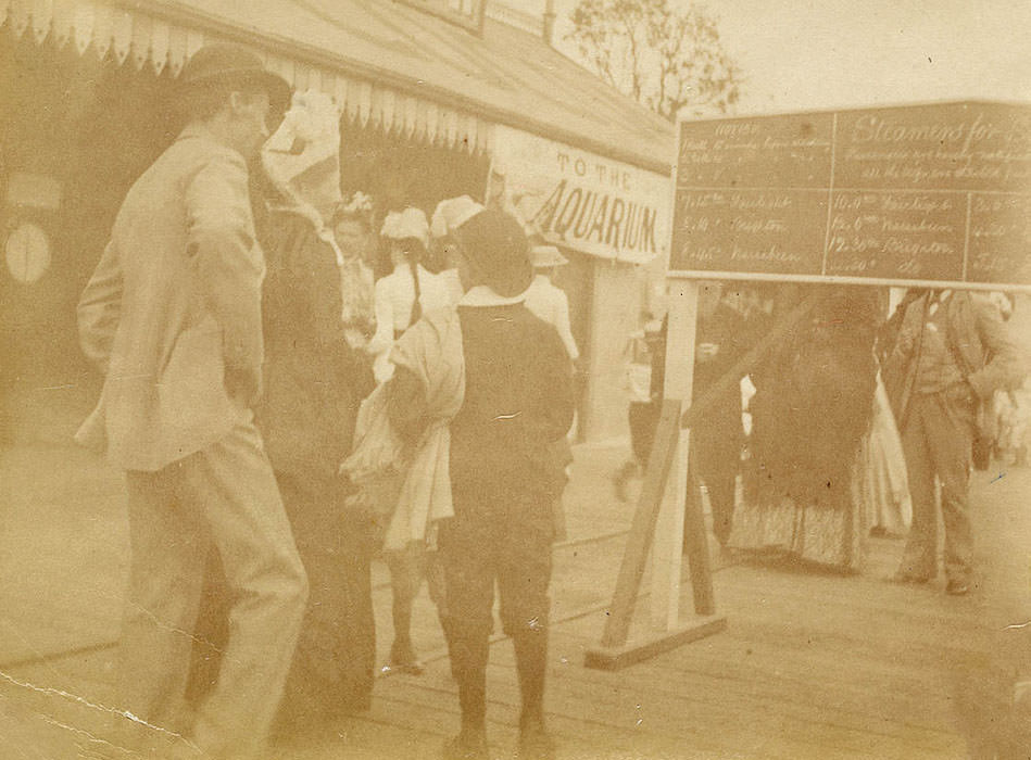 #29 Manly Ferry Wharf from Sydney, 1880s