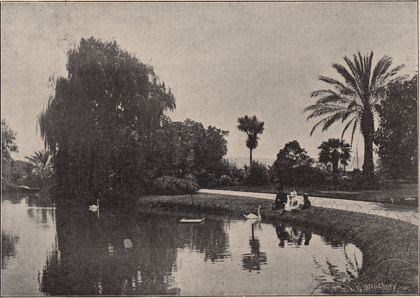 #44 Royal Botanic Gardens, 1897