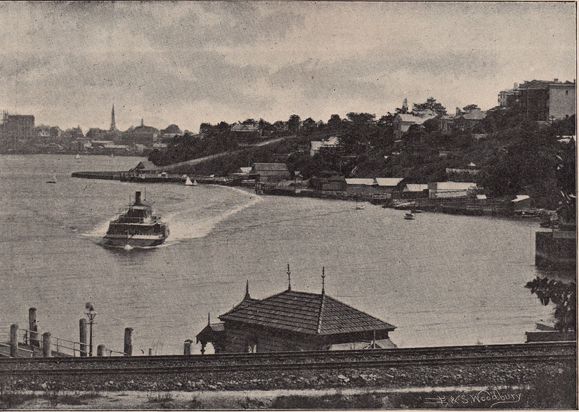 #51 Lavender Bay, 1897