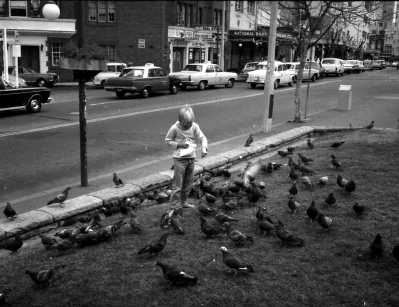 Fitzroy Gardens by the Alamein Fountain, Kings Cross, Sydney, 1968