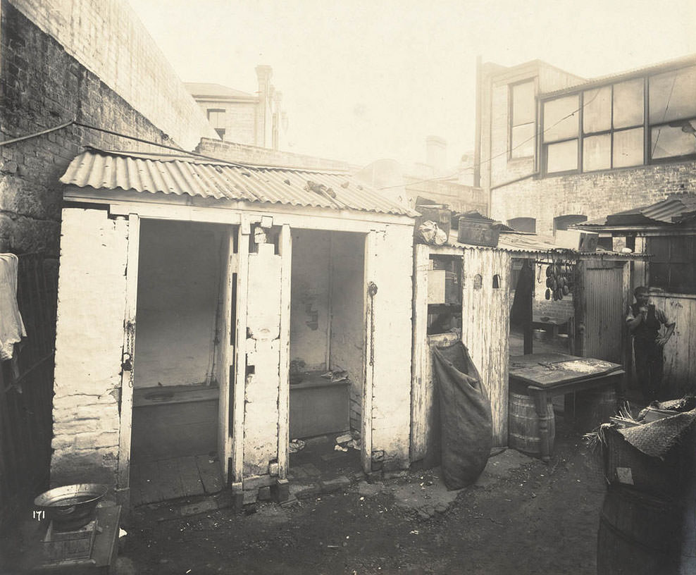 Rear of unidentified butcher’s yard with adjacent outhouses