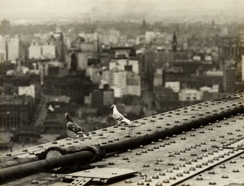 #16 A Bird’s Eye View, circa 1931