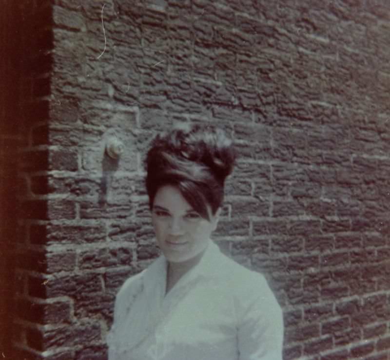 The Beehive Hairdo: A Look Back at the Most Iconic Hairstyle of the 1960s Fashion &; Culture