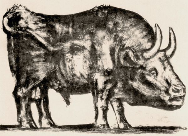 #2 Plate 2: At the second stage of the lithograph, Picasso bulks up the form of the bull to increase its expressive power and achieve a more mythical presence.
