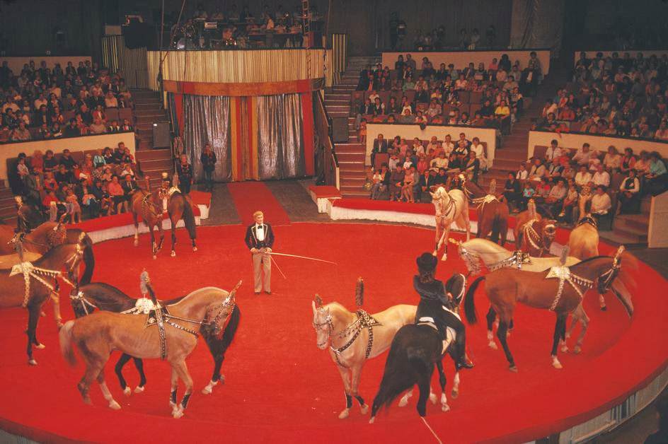 #11 The circus in Donetsk.