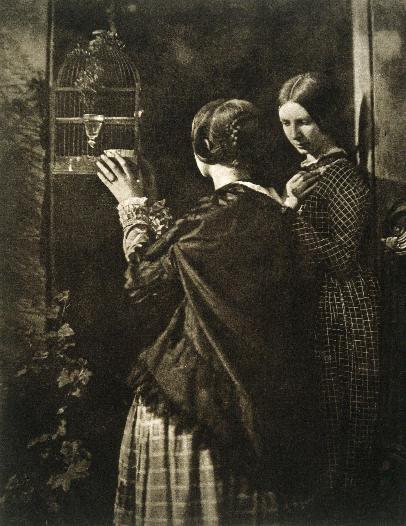 #10 The Bird Cage , 1844.
