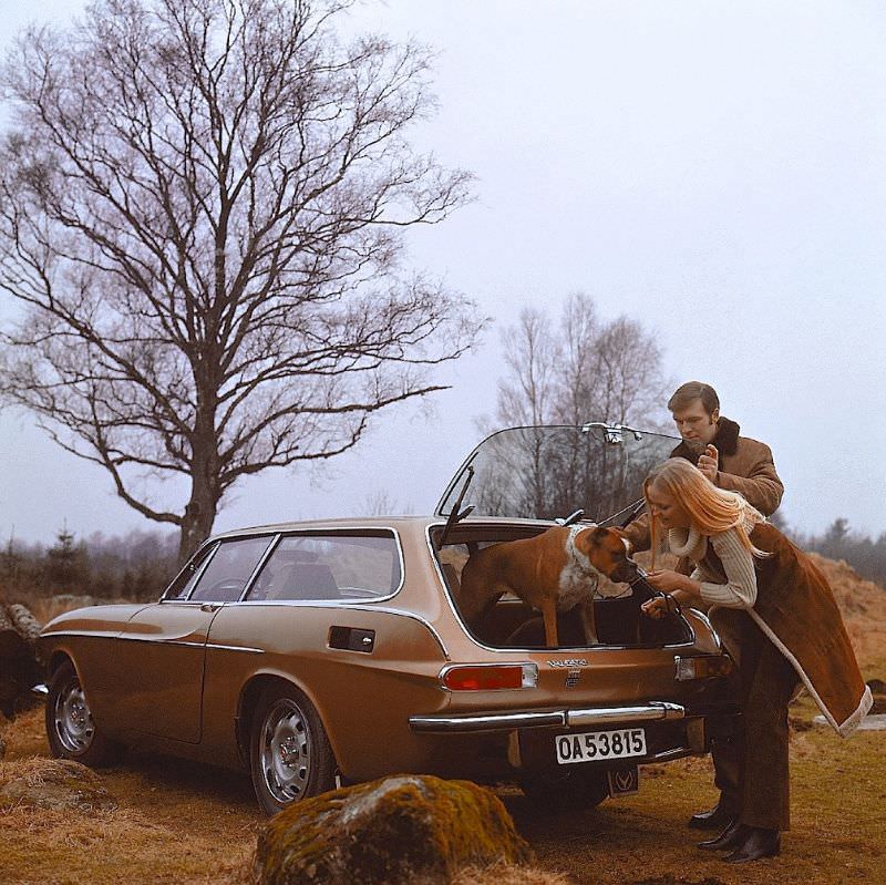 The Scandinavian Sportscar: A Look into the Legacy of the Volvo P1800 Vehicles &; Transportation