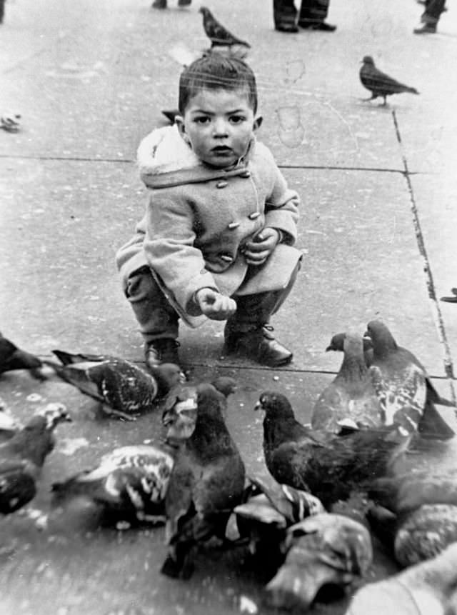#32 Little boy feeding pigeons in Trafalgar Square during winter, London, 1960s.
