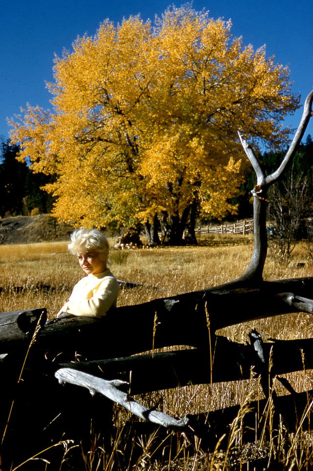 #21 Arlene Smith, autumn gold, October 1960
