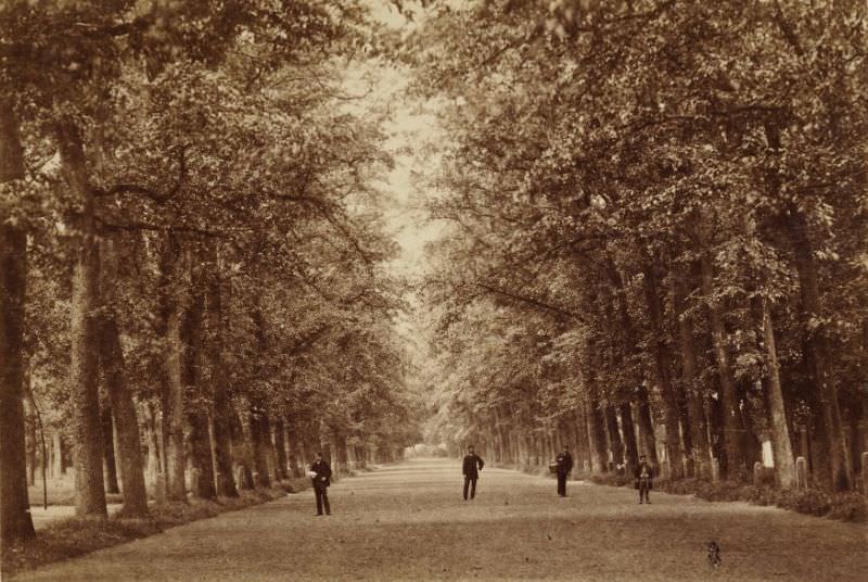 #14 Harddraverslaan, 1886