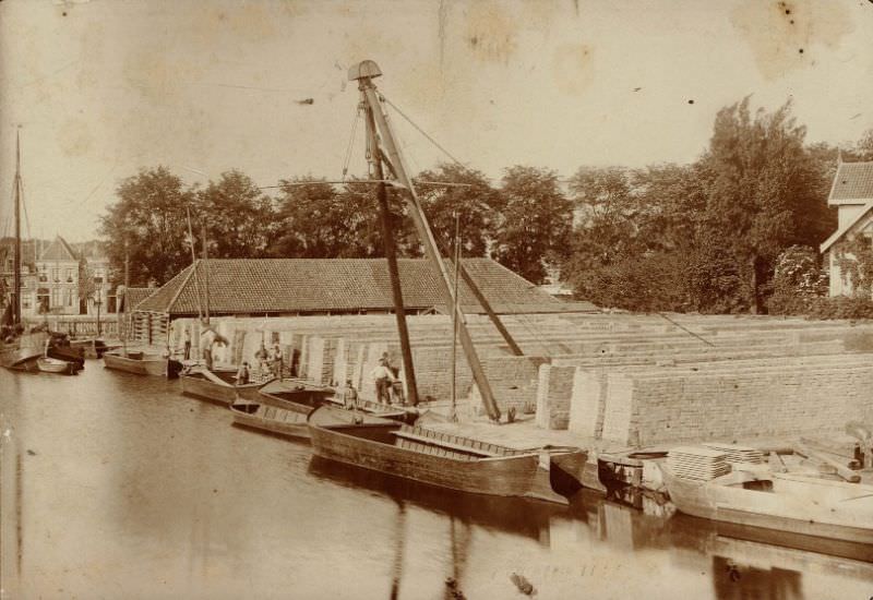 #23 Eilandswal, 1892