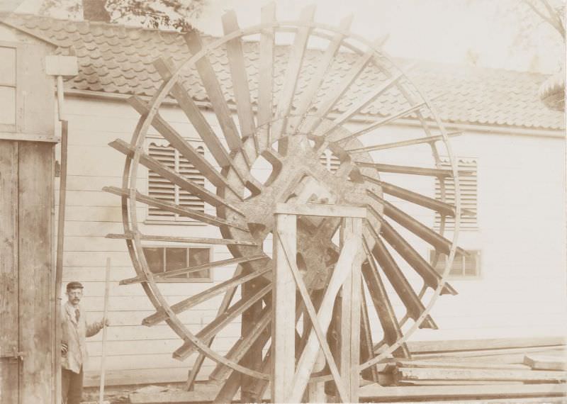 #47 Eilandswal, 1898