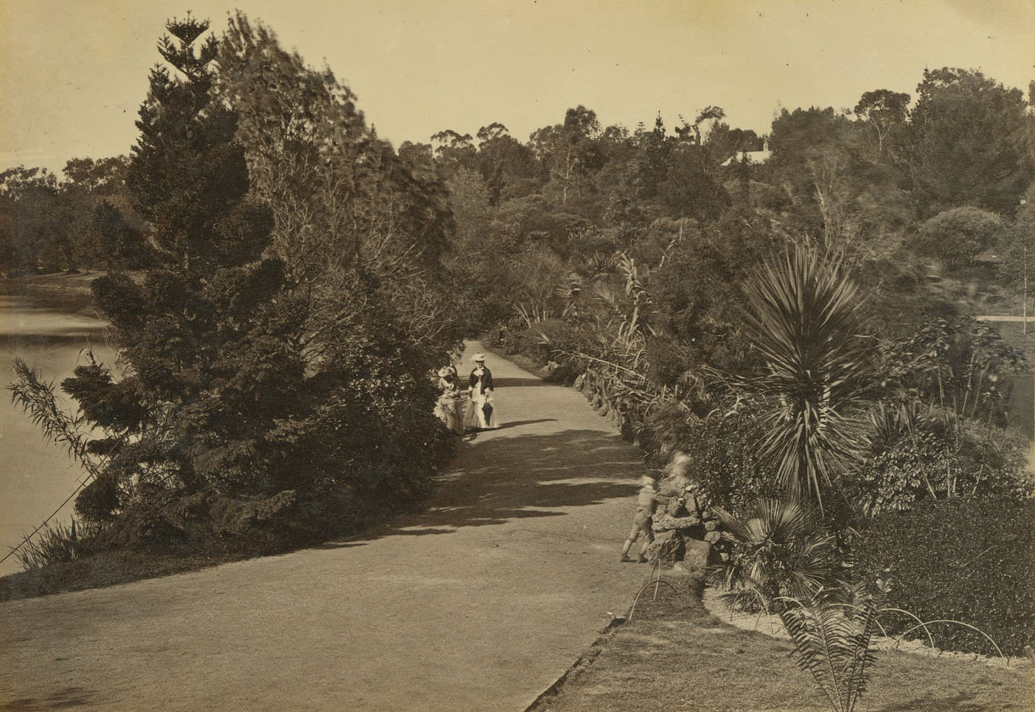 #103 Botanical Gardens, Melbourne, 1885