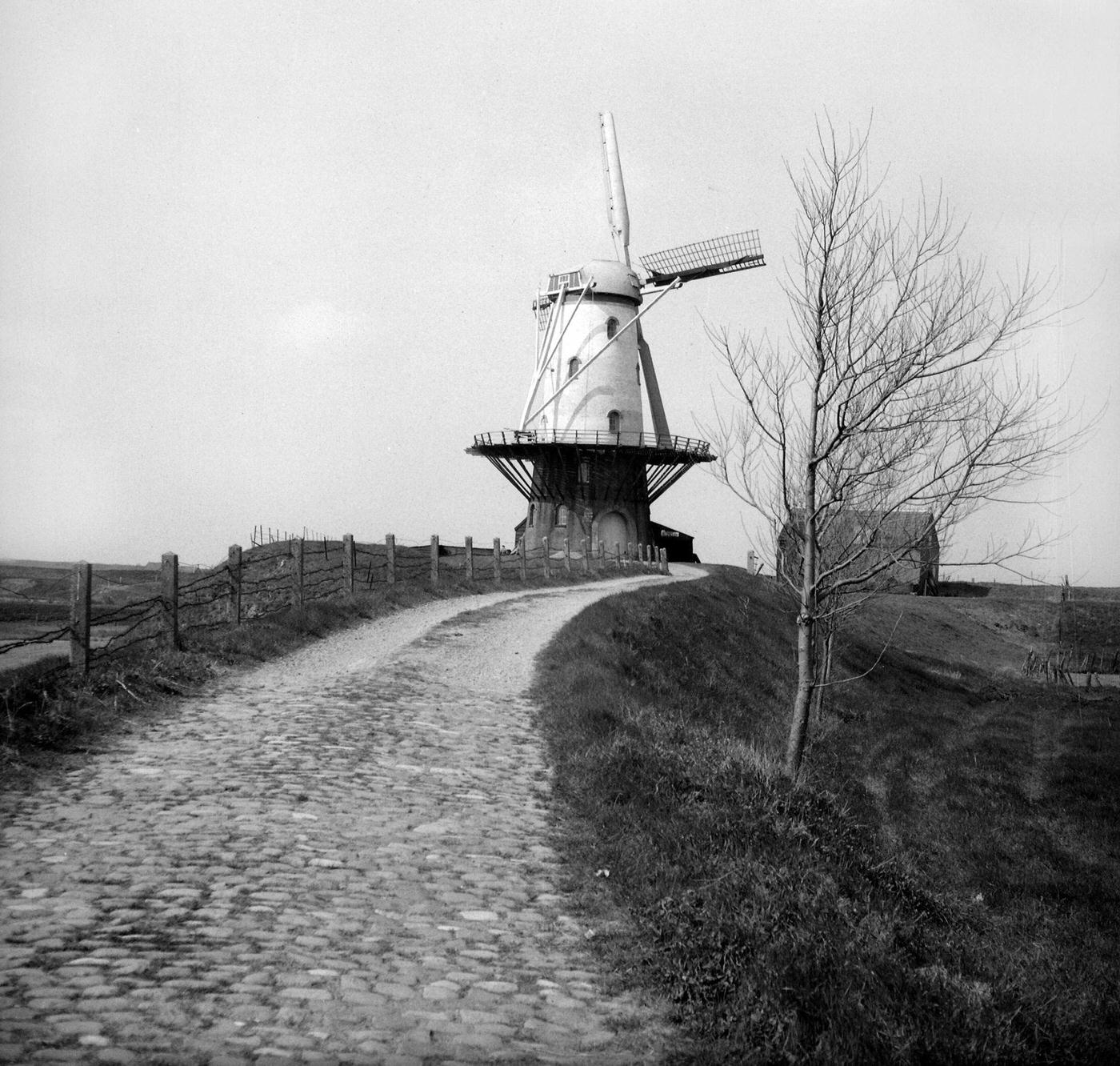 #17 Windmill in Veere, Netherlands, circa 1955.