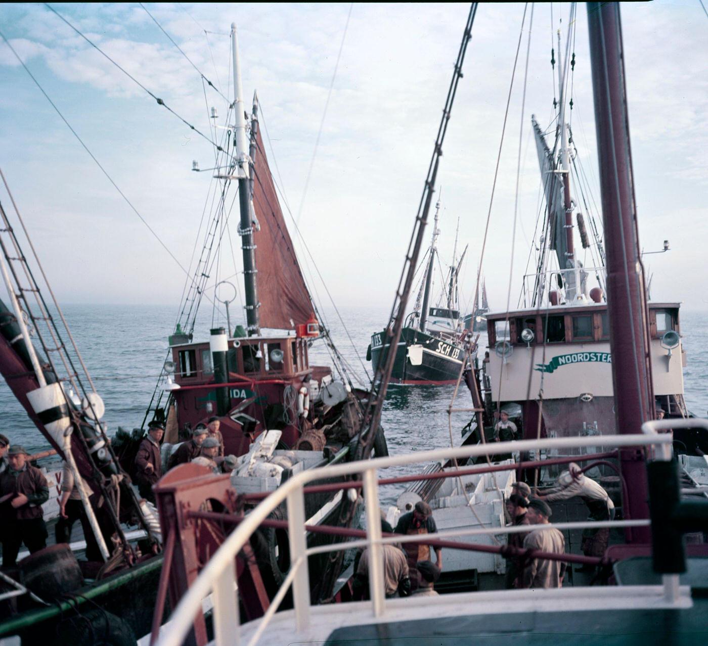 #27 Herring fishing in the North Sea near Scheveningen, the Netherlands, 1954.
