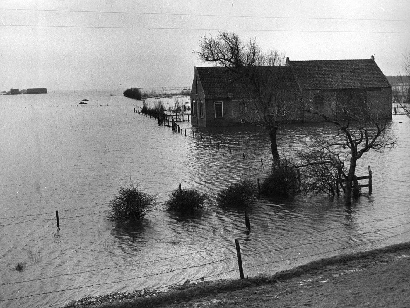 #33 A Dutch farmhouse flooded by water, Netherlands, February 1953.