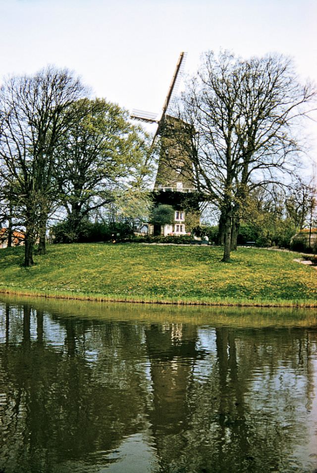 #60 Windmill, De Groot of de Molen van Piet, Singelgracht Canal, Alkmaar.