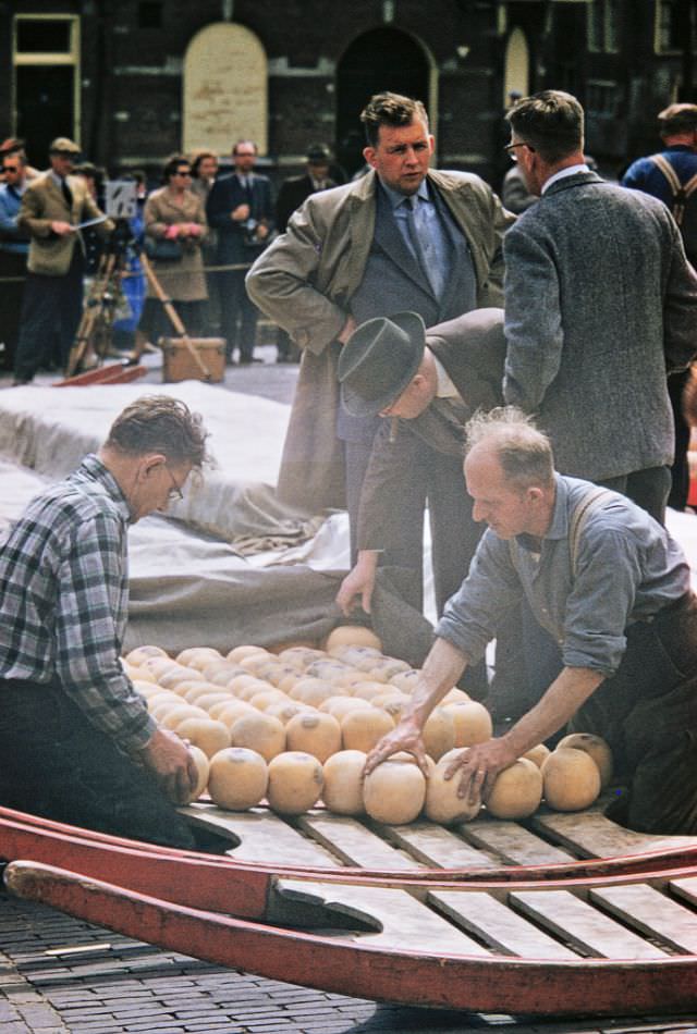 #61 Alkmaar Cheese Market.
