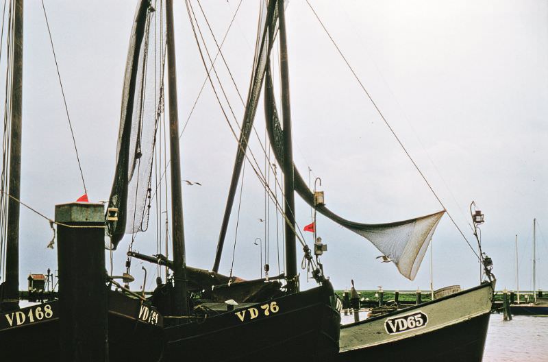 #70 Fishing boats, Volendam.