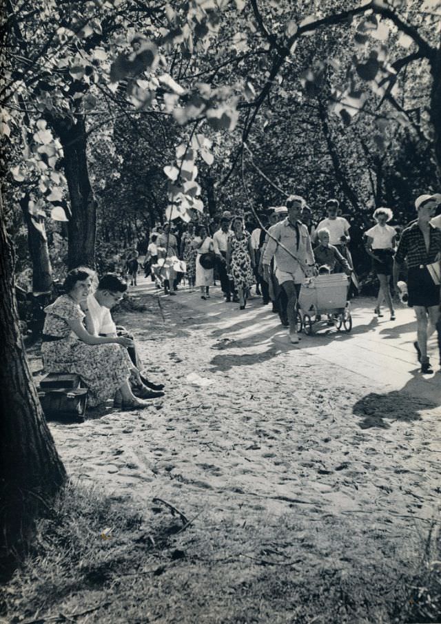 #85 At the beach in Rockanje, 1957