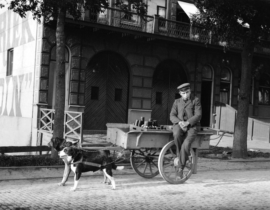 #107 Man with dog cart.