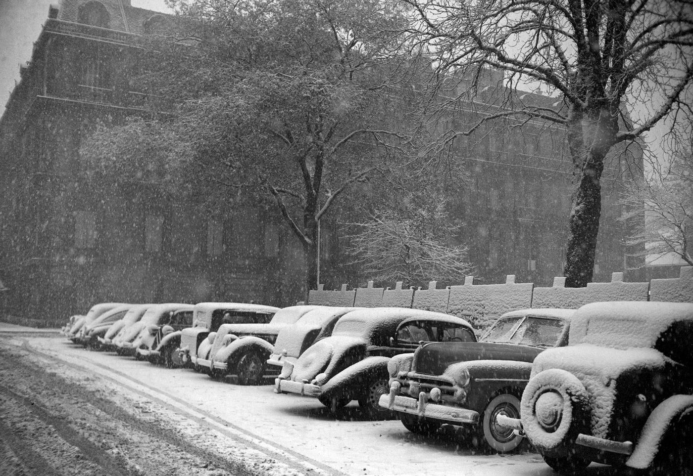 #66 Cars Covered With Snow in a Paris Street, 1952