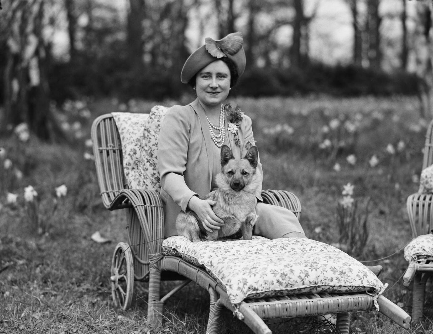 #96 Queen Elizabeth with a Pembroke Welsh Corgi dog at Royal Lodge, Windsor Great Park, April 1940.