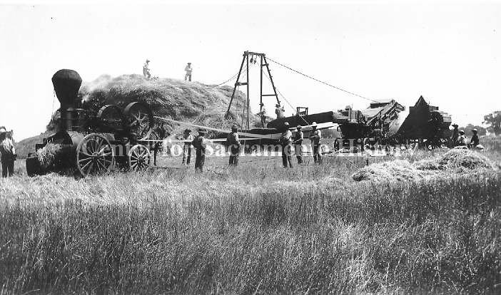 #108 Ranch workers stack hay in large pile with help of steam-powered machinery, 1895