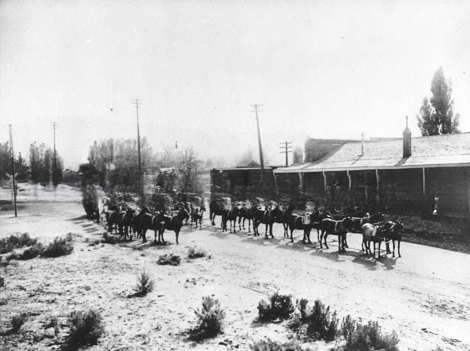 #109 Two twelve horse hitch freight wagons parked next to a railroad depot, 1890